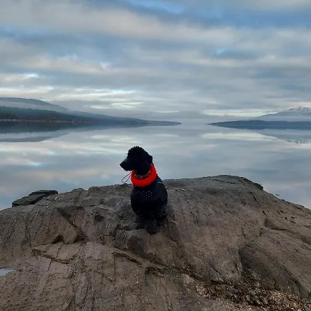 بيت للعطل Villmarksgard Tommerstue *