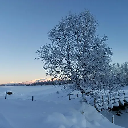 Villmarksgard Tommerstue * Hattfjelldal