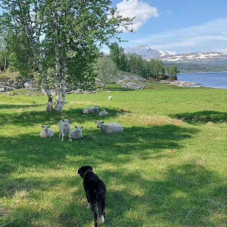 Feriehus Villmarks Gård Tømmerstue Hattfjelldal