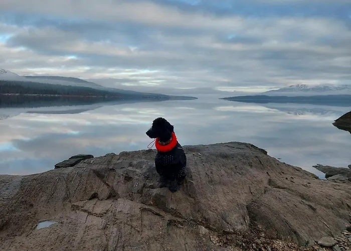 Hébergement de vacances Villmarksgard Tommerstue *
