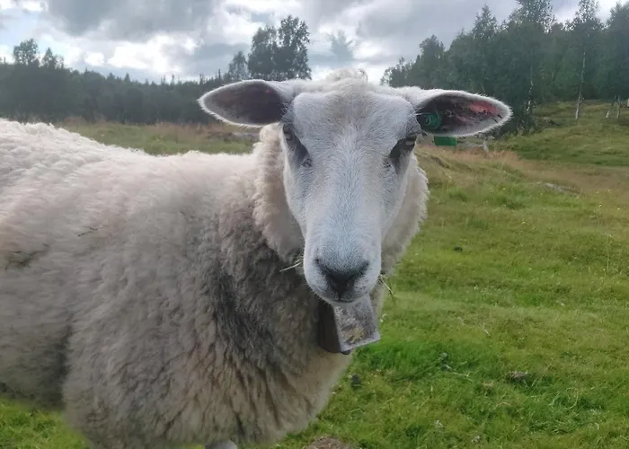 Villmarksgard Tommerstue