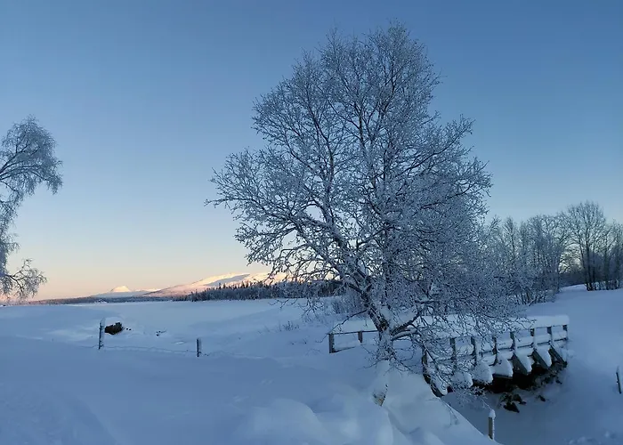 Villmarksgard Tommerstue * Hattfjelldal